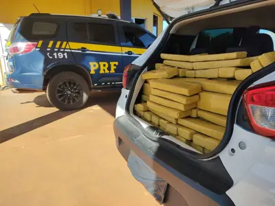 PRF apreende 374 kg de maconha e skunk em ação na BR-060 em Sidrolândia (MS)